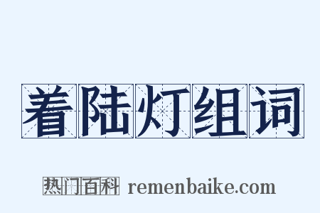 着陆灯组词是什么意思的图片